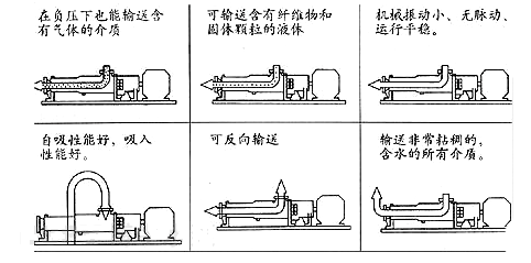 单螺杆泵