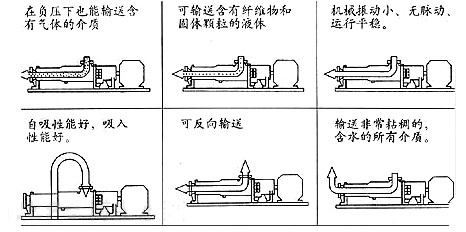 不锈钢螺杆泵