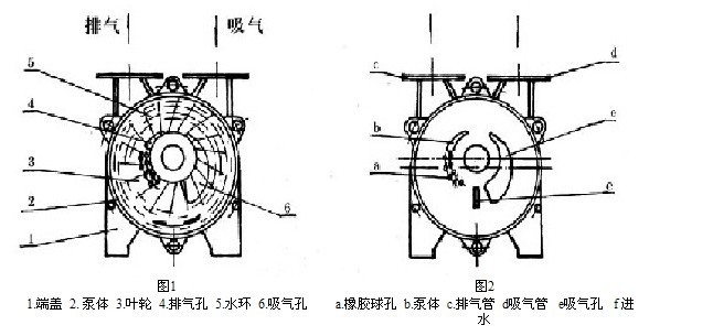 水环式真空泵