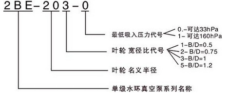 水环式真空泵