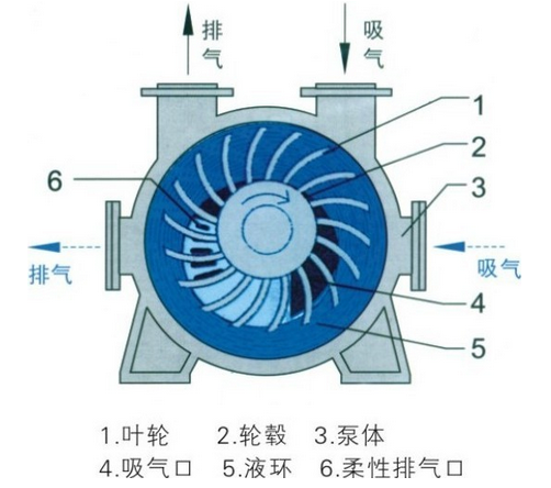 水环式真空泵